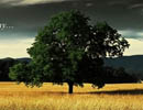 Photoshop{ɫ̳̣{ƯSɫ