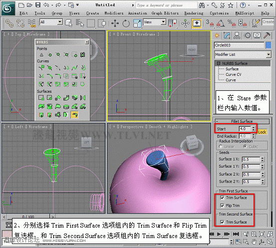 3D MAXʹNURBSo؝xģ