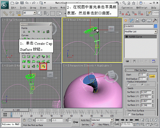 3D MAXʹNURBSo؝xģ