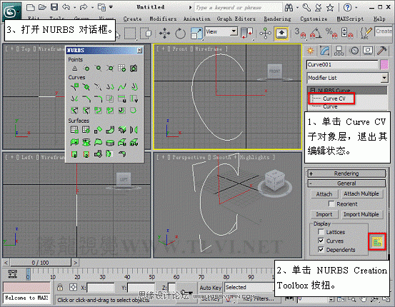 3D MAXʹNURBSo؝xģ