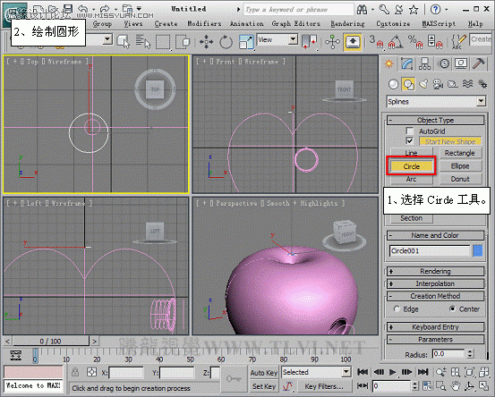 3D MAXʹNURBSo؝x(chng)ģ