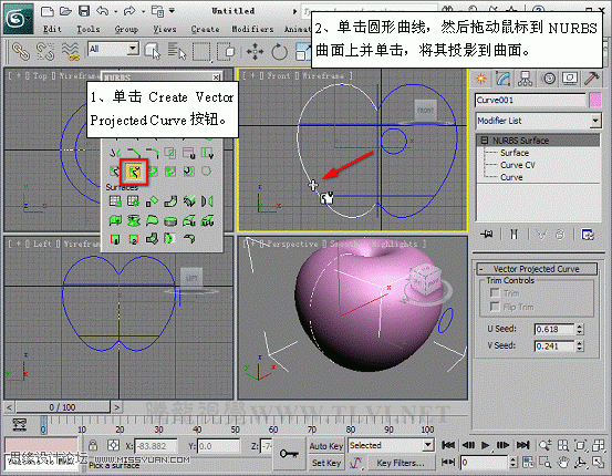 3D MAXʹNURBSo؝xģ