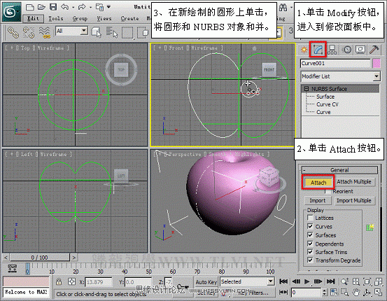 3D MAXʹNURBSo؝xģ