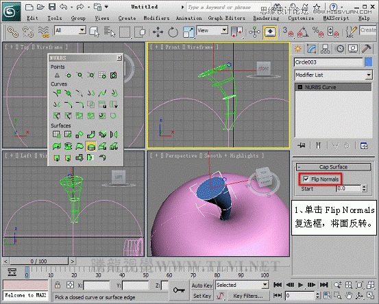3D MAXʹNURBSo؝xģ