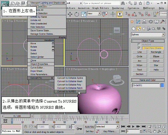 3D MAXʹNURBSo؝x(chng)ģ