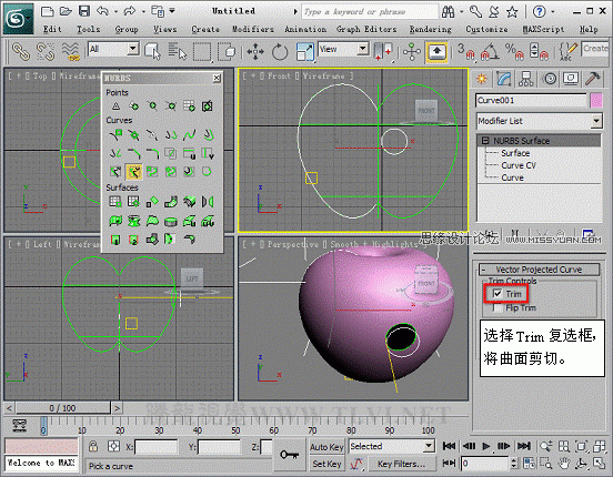 3D MAXʹNURBSo؝xģ