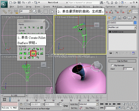 3D MAXʹNURBSo؝xģ