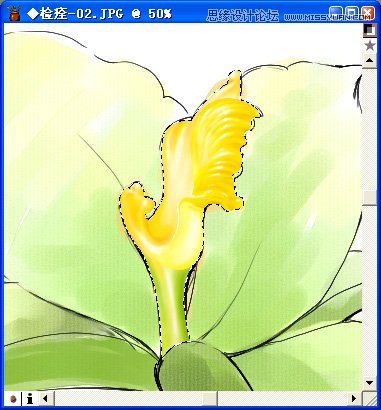 Painter̳̣ϔaLһİٺϻ
