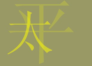 Flash CS3̳̣pɴӑBЧ