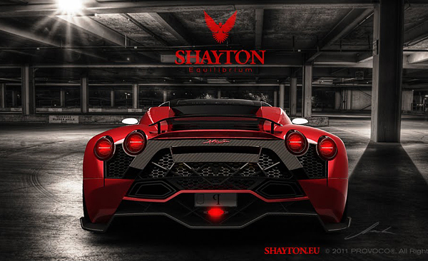 Shayton Equilibrium܇OӋp