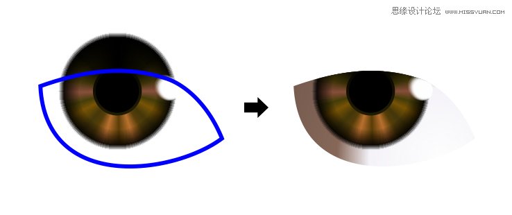 CorelDRAWģMƬLȫ^̷