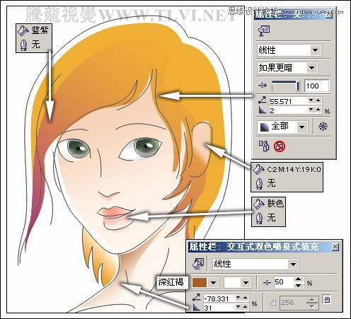 CorelDRAWLƿͨ宋Ů̳峿ꖹ