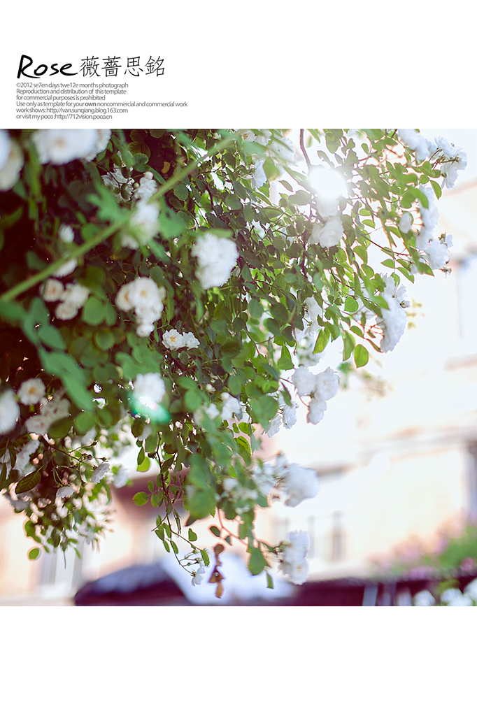 ޱN˼⾰Ů?dng)zӰƷp