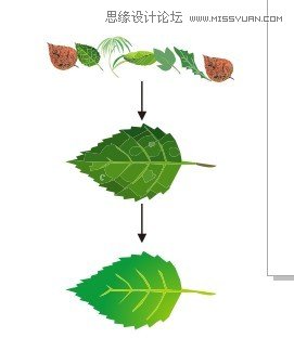 CorelDRAW解析網狀填充運用教程
