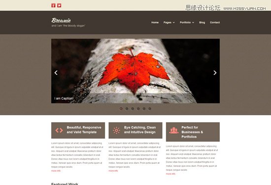 OӋMHTML5CSS3ģ