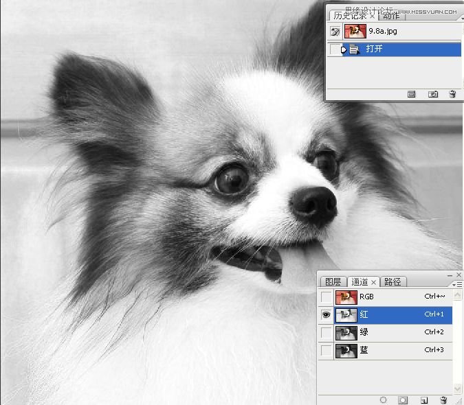 PhotoshopʹͨoD