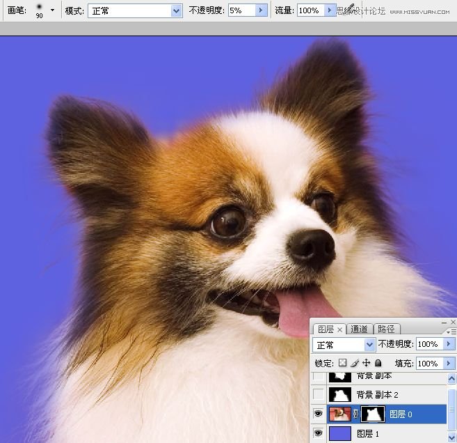 PhotoshopʹͨoD