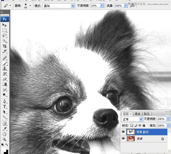 PhotoshopʹͨoD