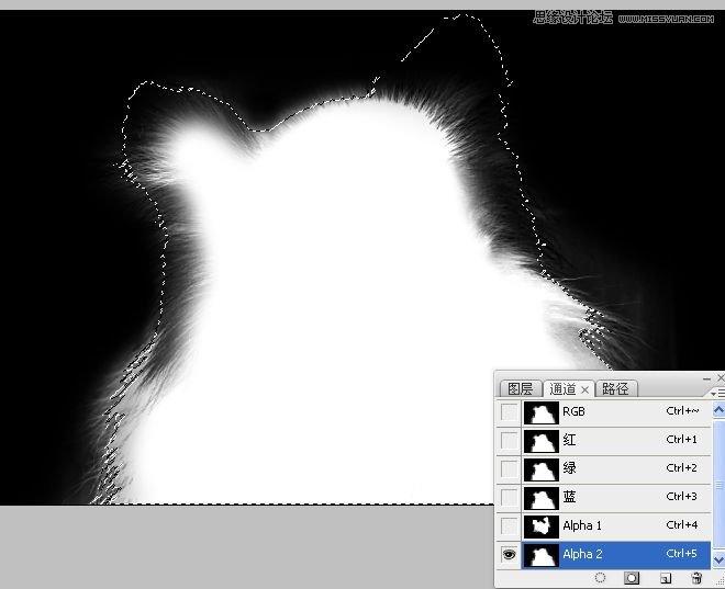 PhotoshopʹͨoD