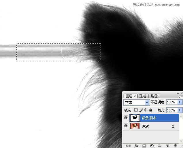PhotoshopʹͨoD
