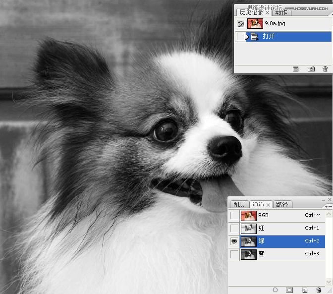 PhotoshopʹͨoD