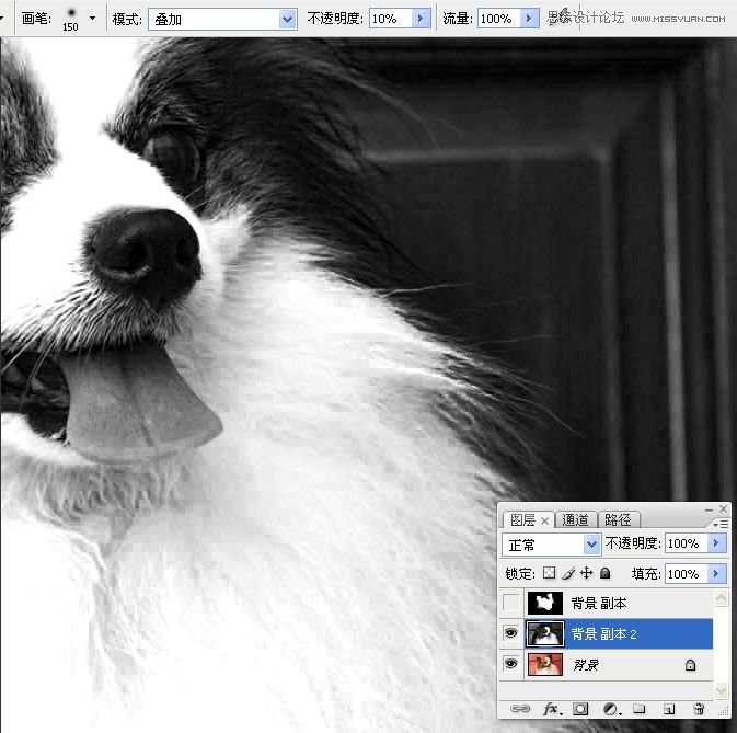 PhotoshopʹͨoD