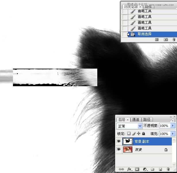 PhotoshopʹͨoD