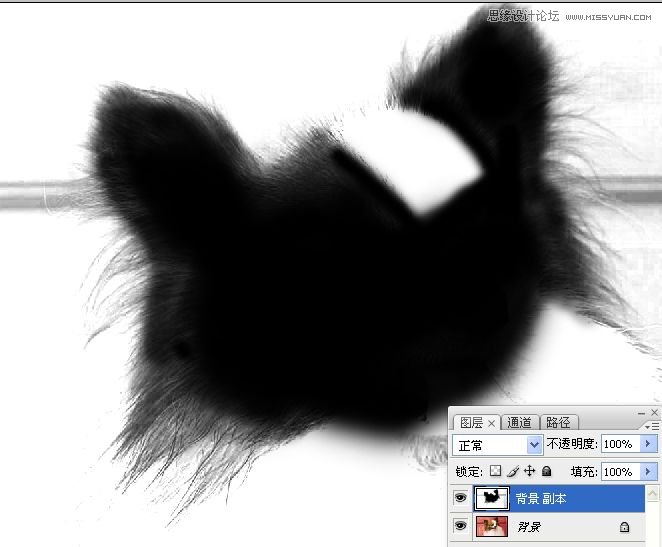 PhotoshopʹͨoD