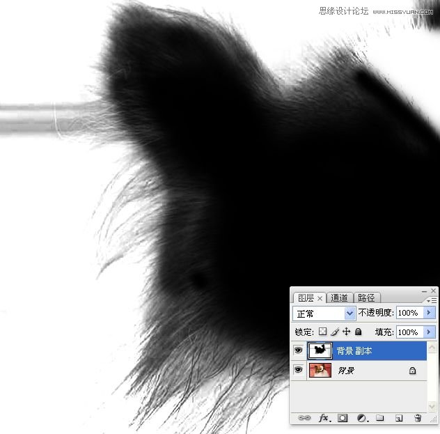 PhotoshopʹͨoD