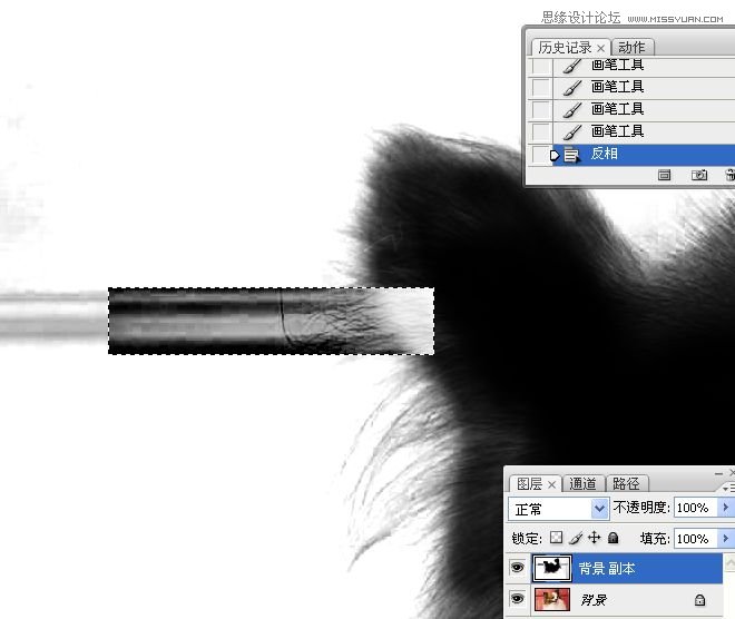 PhotoshopʹͨoD
