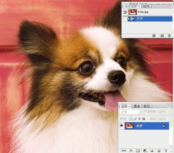 PhotoshopʹͨoD