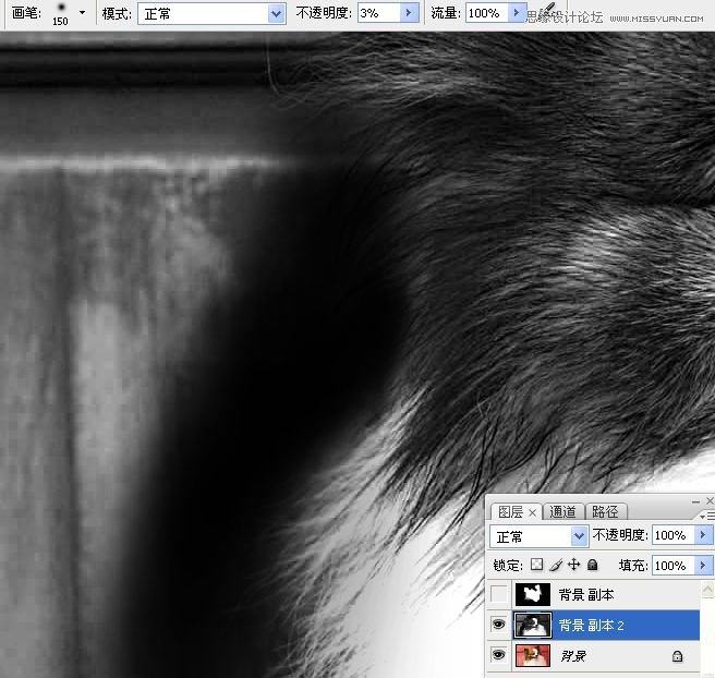 PhotoshopʹͨoD