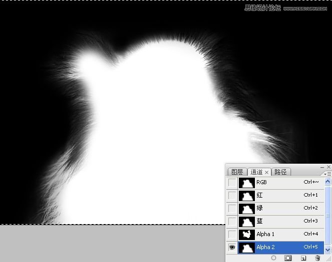PhotoshopʹͨoD