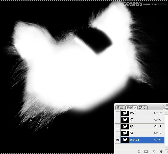 PhotoshopʹͨoD