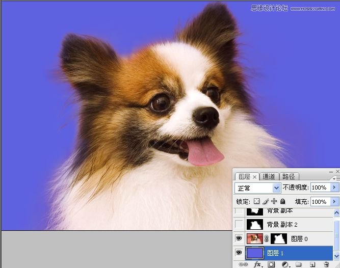 PhotoshopʹͨoD