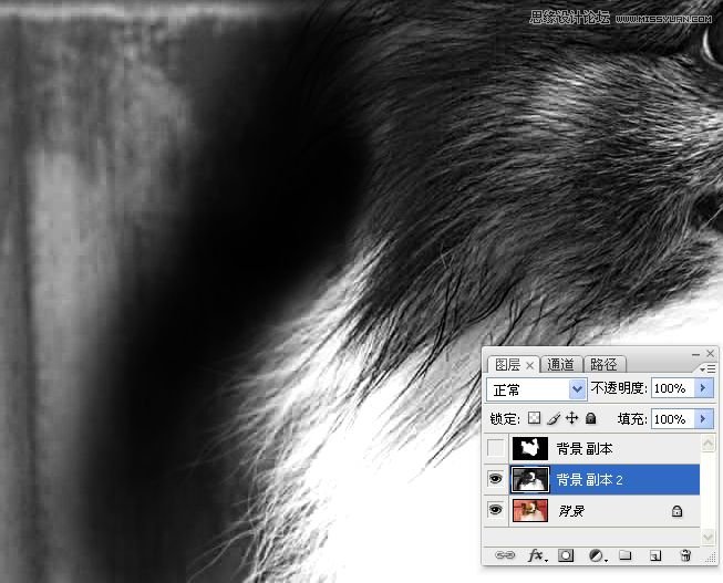 PhotoshopʹͨoD