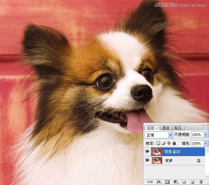 PhotoshopʹͨoD