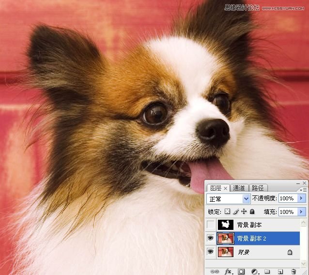 PhotoshopʹͨoD