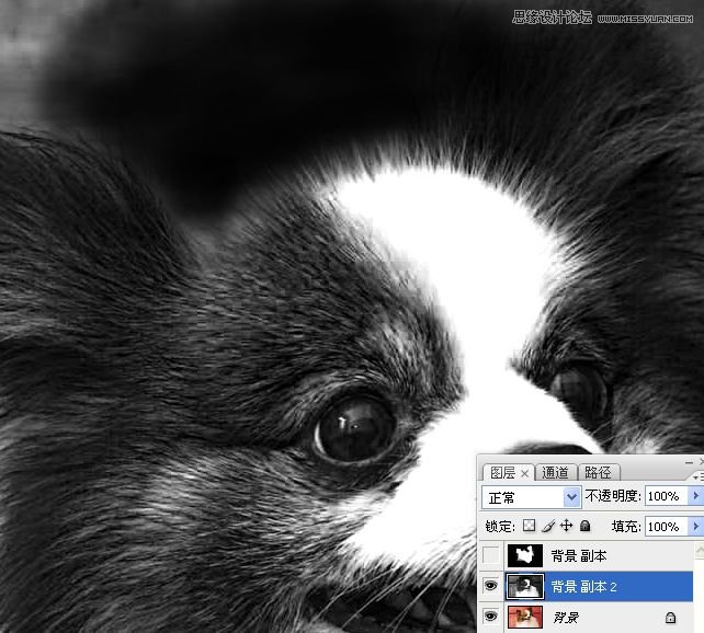 PhotoshopʹͨoD