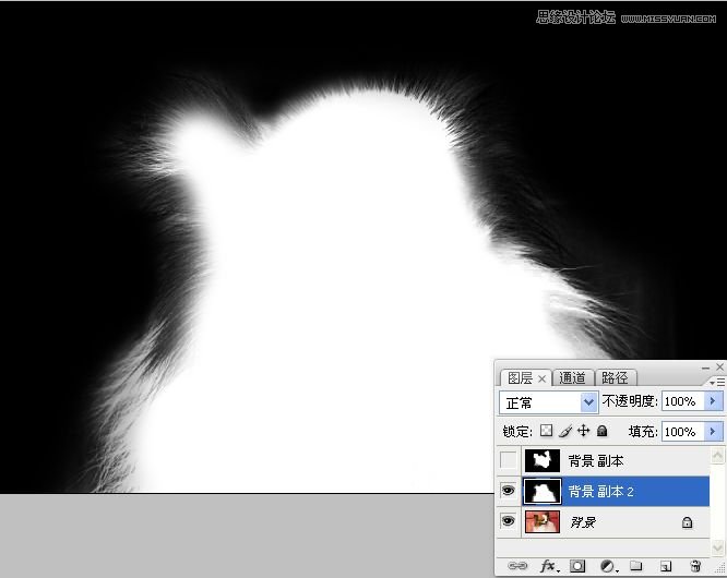 PhotoshopʹͨoD