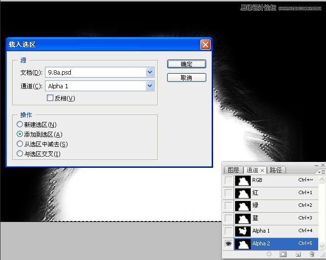 PhotoshopʹͨoD