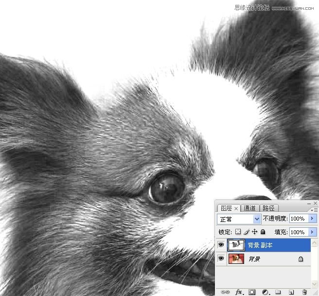 PhotoshopʹͨoD