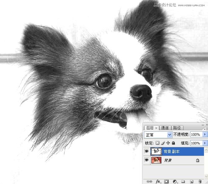 PhotoshopʹͨoD