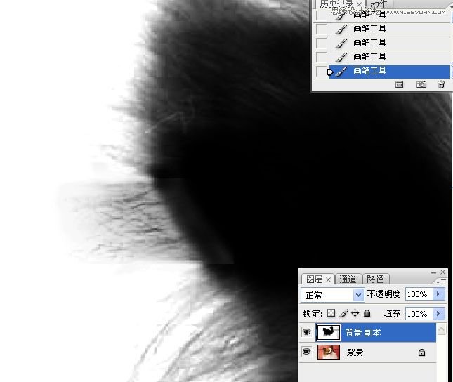 PhotoshopʹͨoD