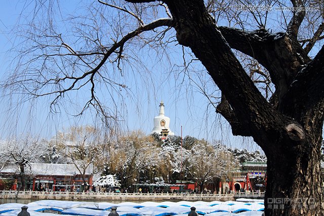 zӰR(sh)֮عa(b)cع