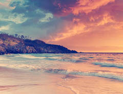 50ٝPSƬ̳