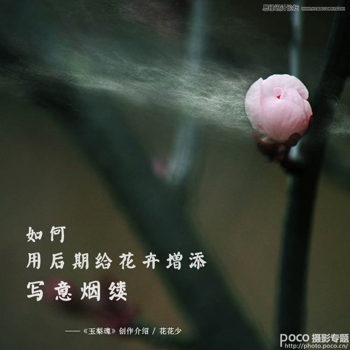úڽo팑⟟|
