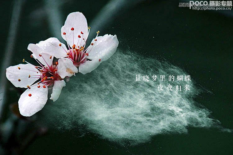 úڽo팑⟟|