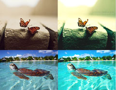 (dng)ƬD(zhun)ؓ(f)_Ч{(dio)ɫ(dng)