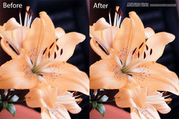 PhotoshopɣCC汾ȫY(ji)